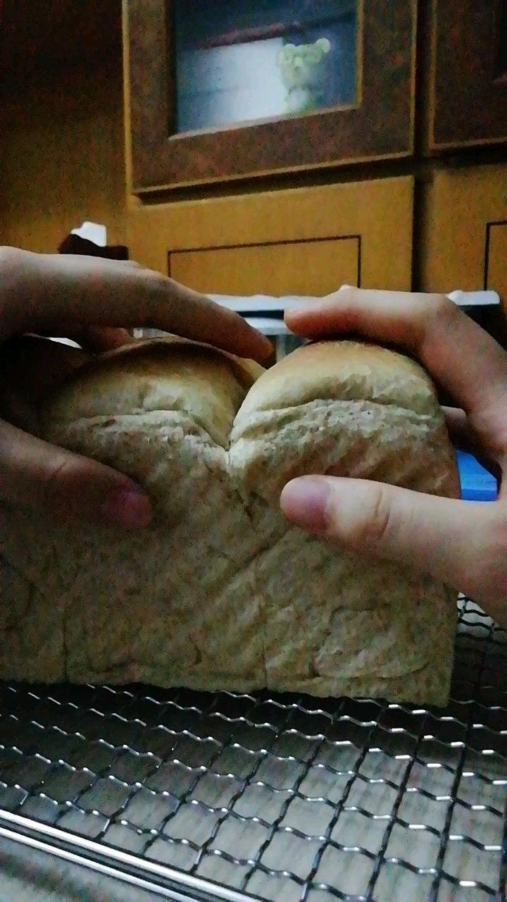 波兰种全麦吐司