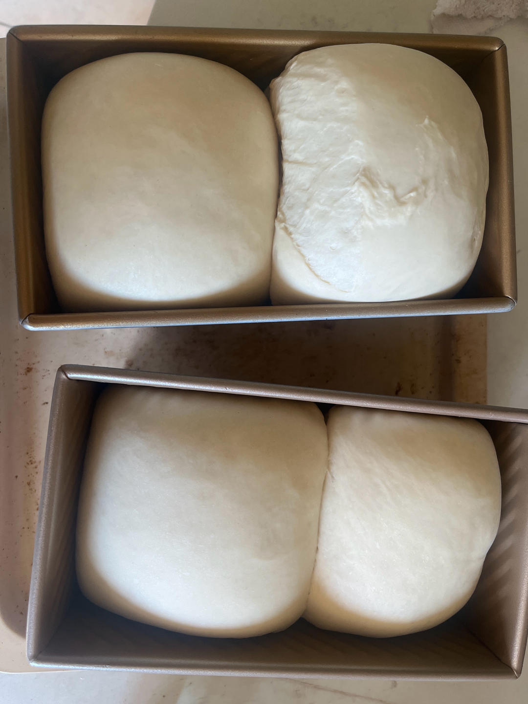 脆皮吐司-麦芽糖版庞多米