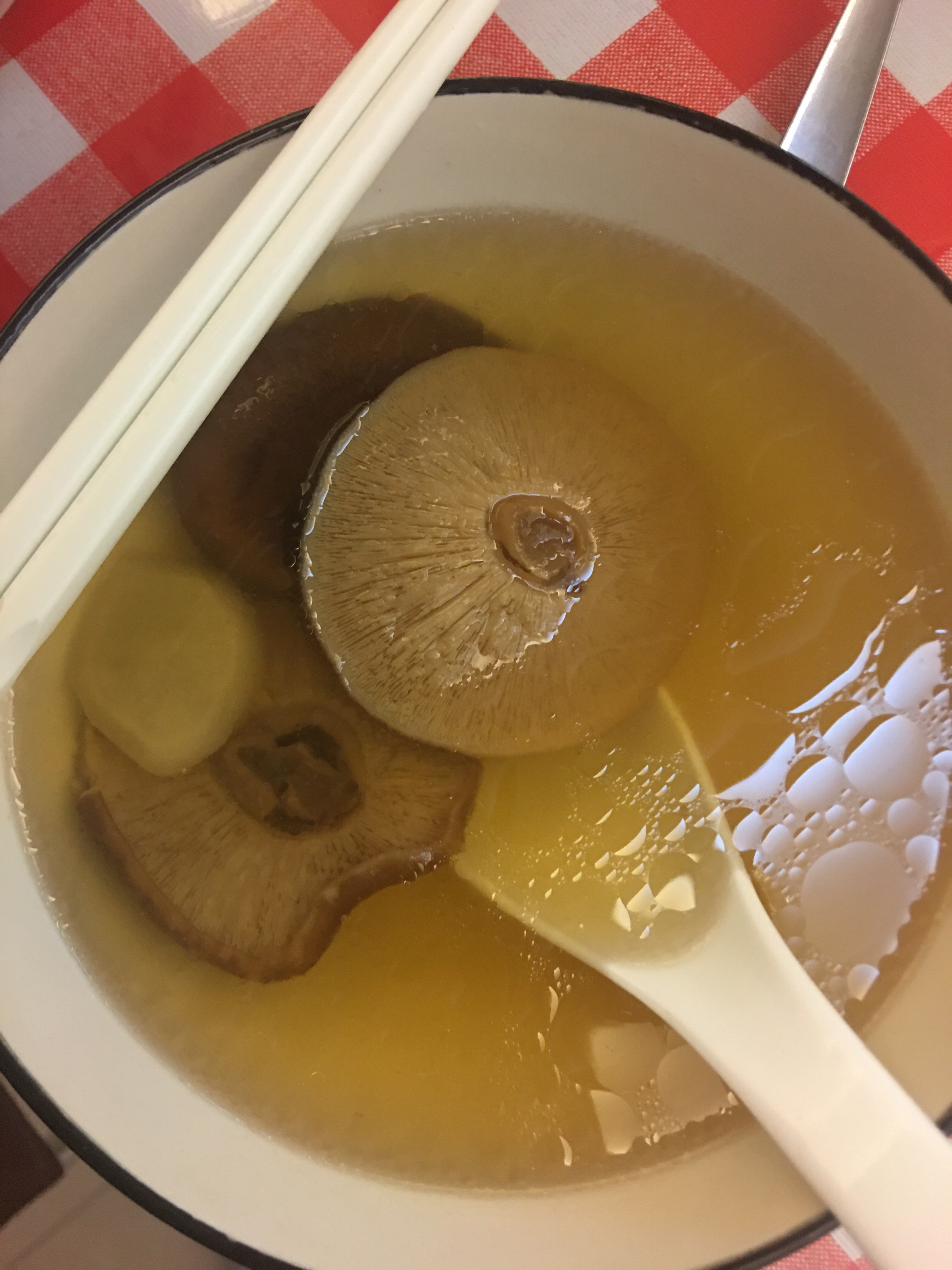菌菇乳鸽清汤