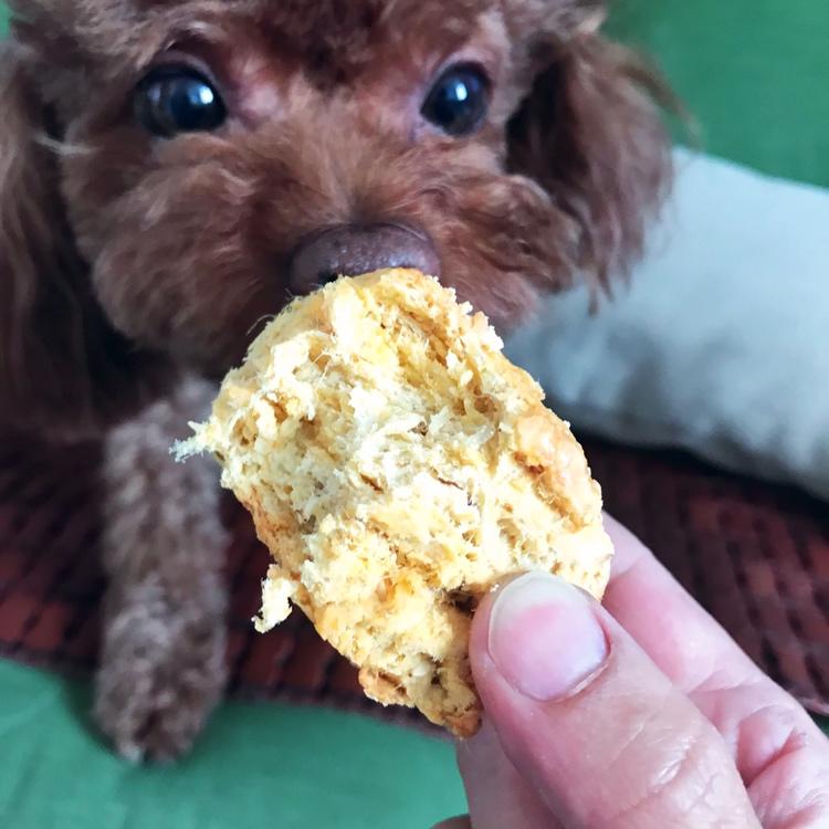咸蛋黄肉松司康