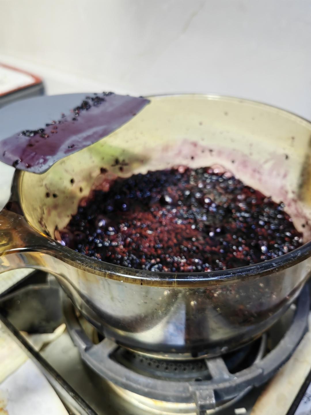 桑葚膏（完整颗粒）