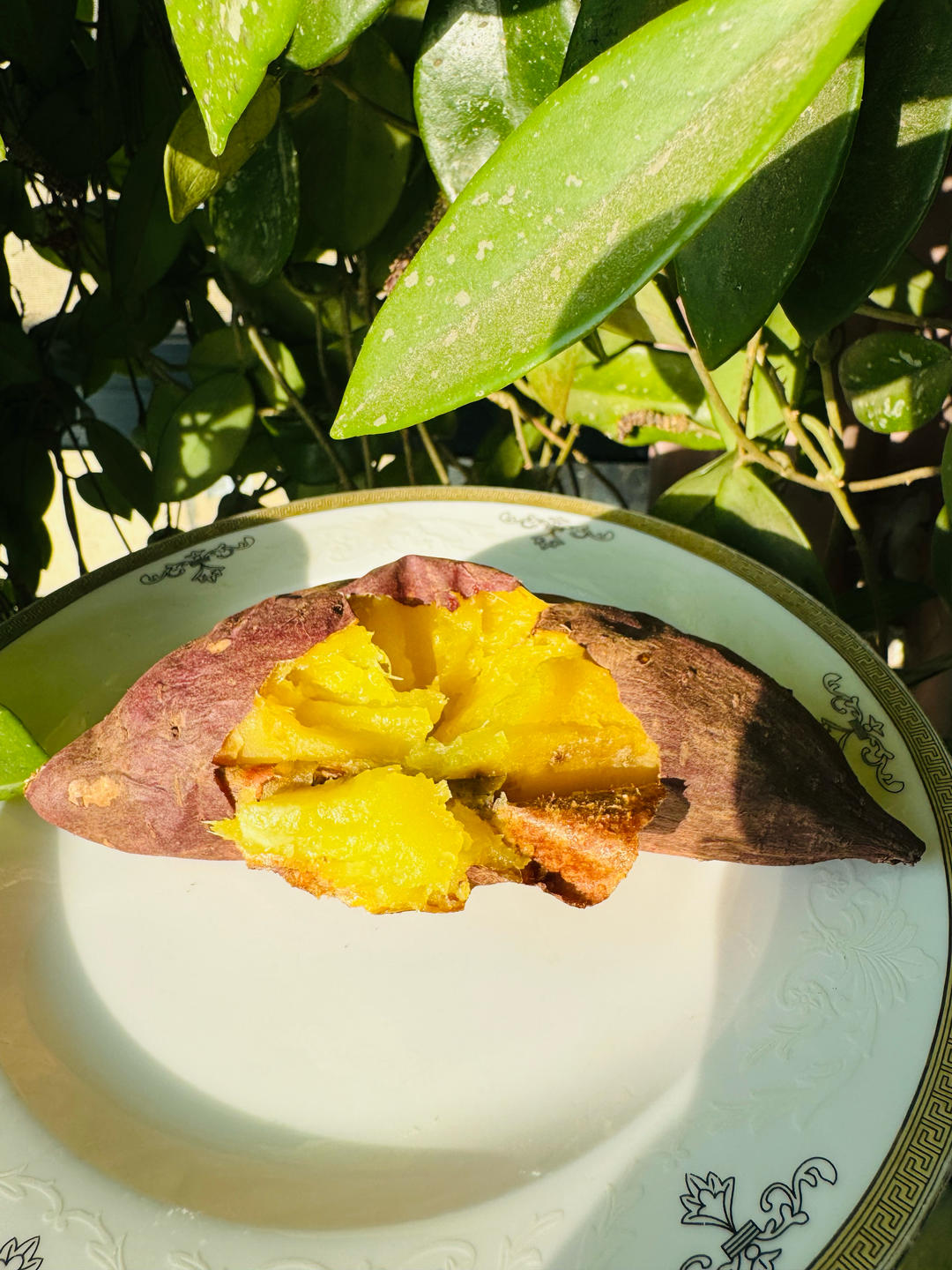 烤地瓜（烘山芋）