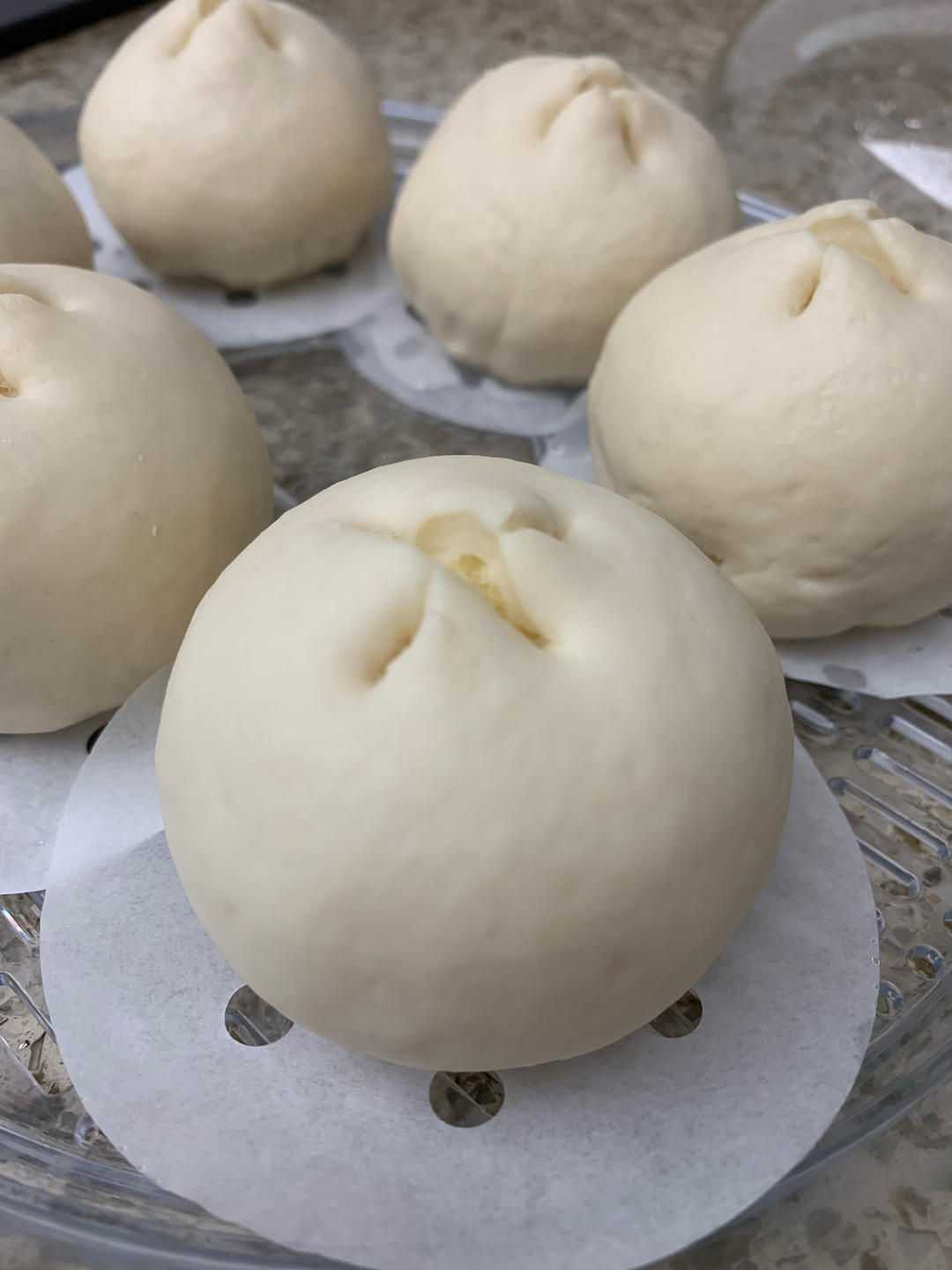 自制无油奶黄包