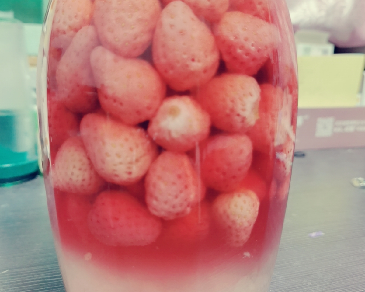 草莓果酒的做法