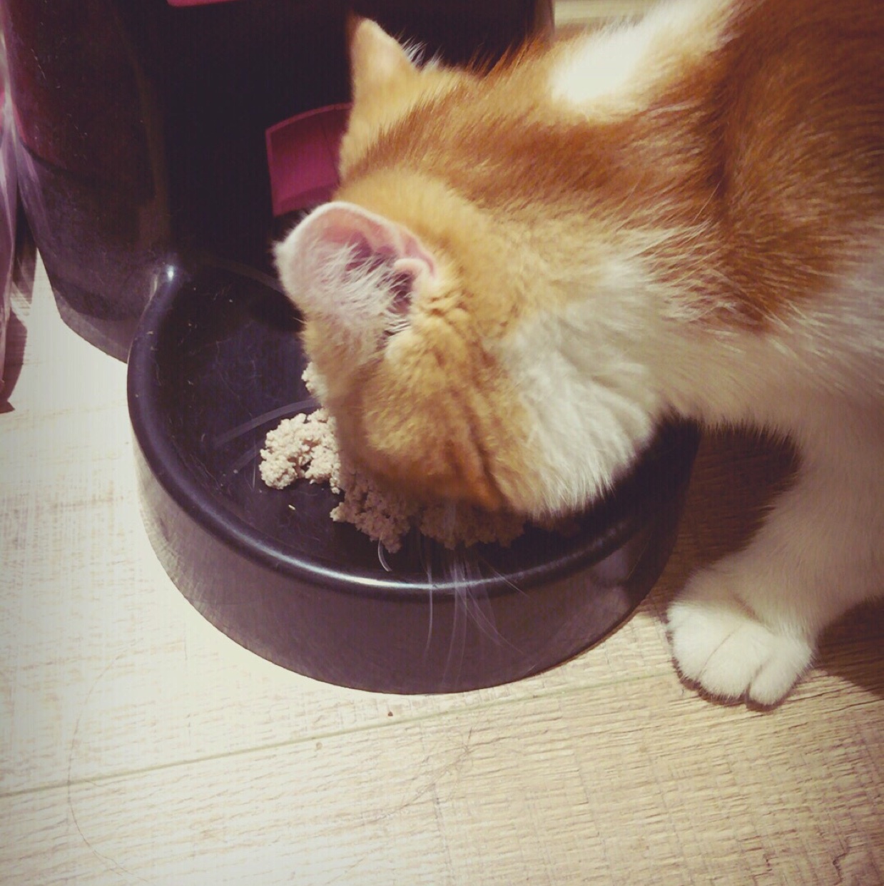 【日食记】孤独的石锅饭