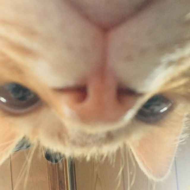 3了个3_