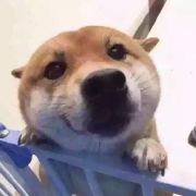 噼里啪啦小哪吒