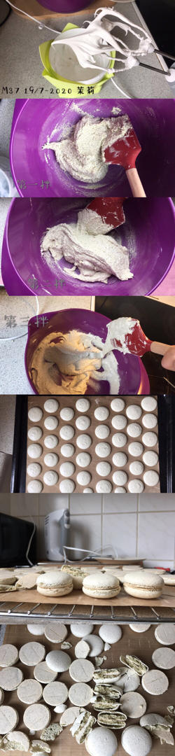 终于我也走上了磕马的道路