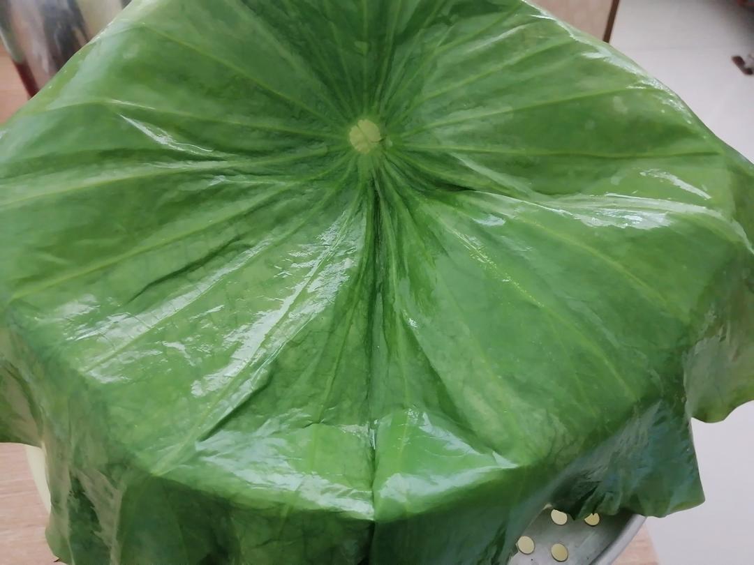 新鲜荷叶保存法