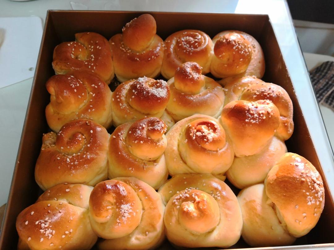 🍯蜂蜜脆底小面包🍞路边烘焙小铺的味道🏘