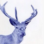 kishi就是葱葱葱