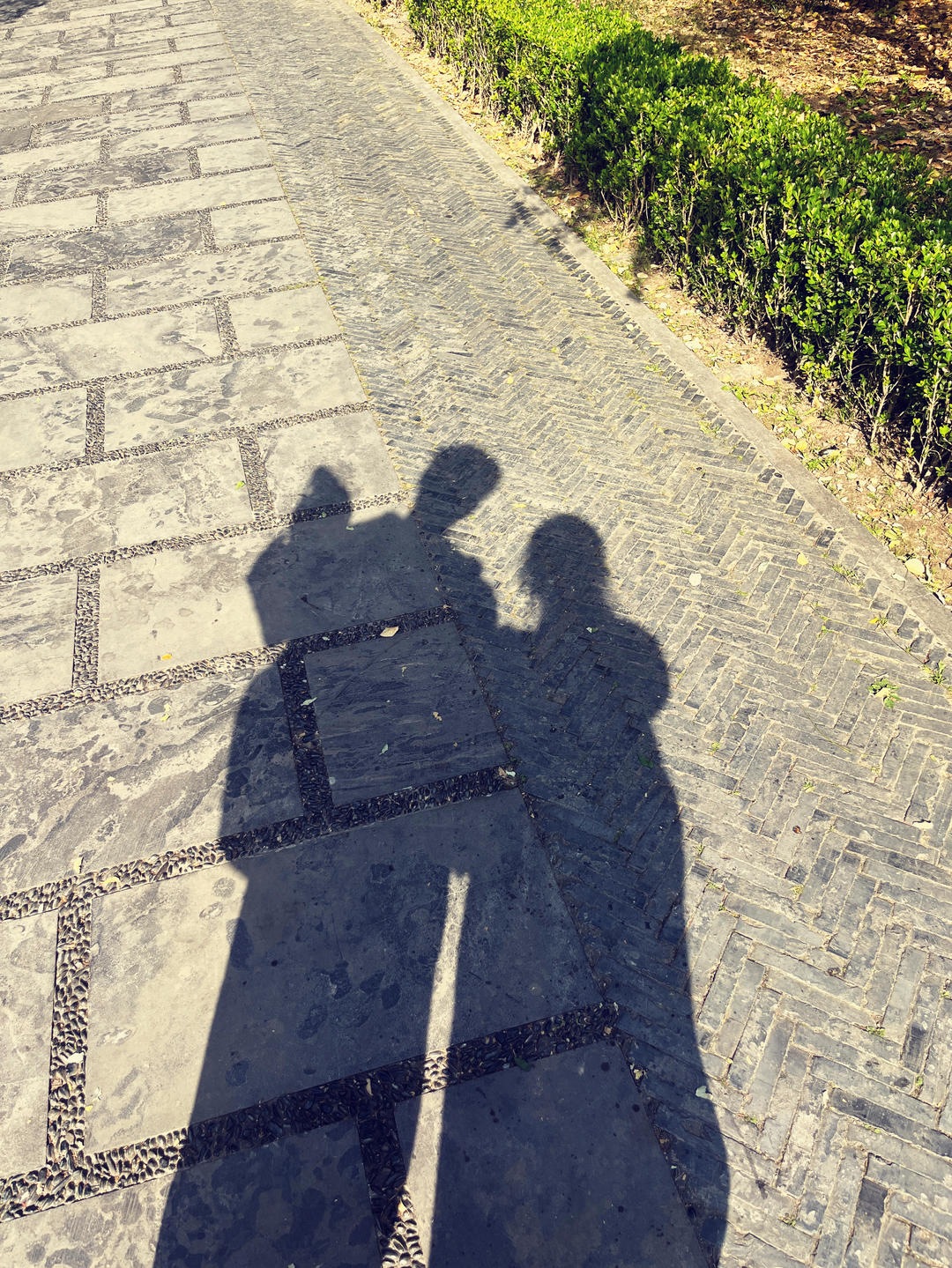 翟翟和乖乖的小