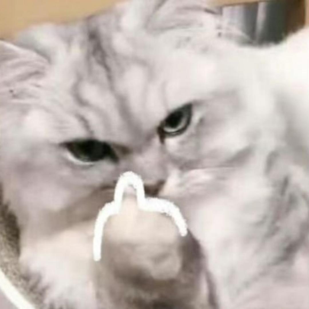 推宝