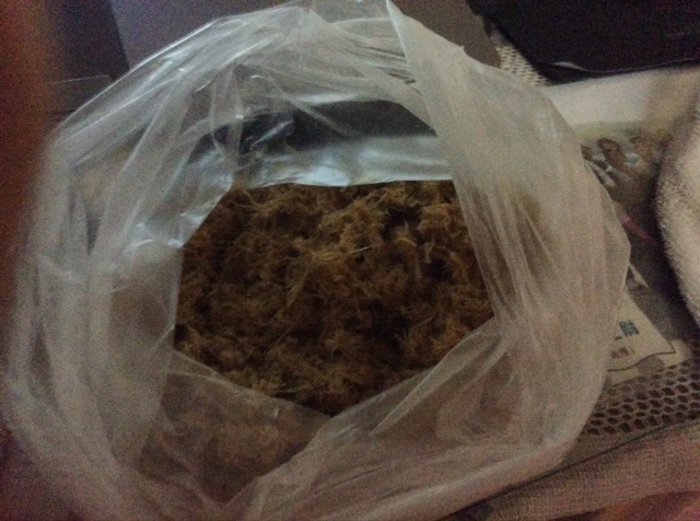 自制面包机肉松