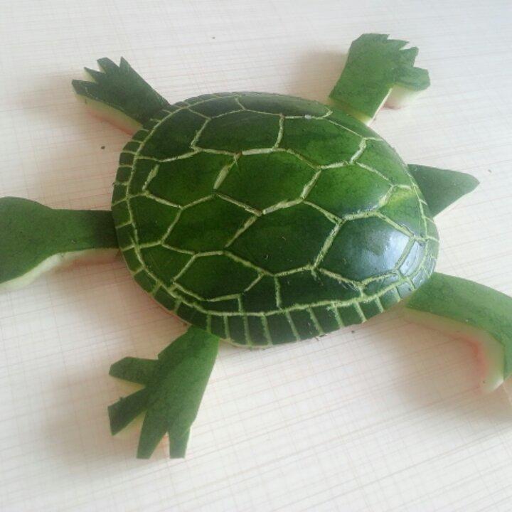 蓝色天空bule做的西瓜皮小乌龟