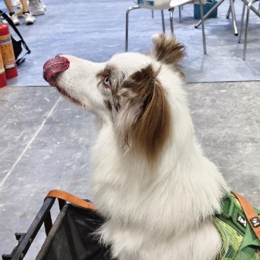包好吃的伙计包好吃的
