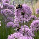 努力做合格爸爸