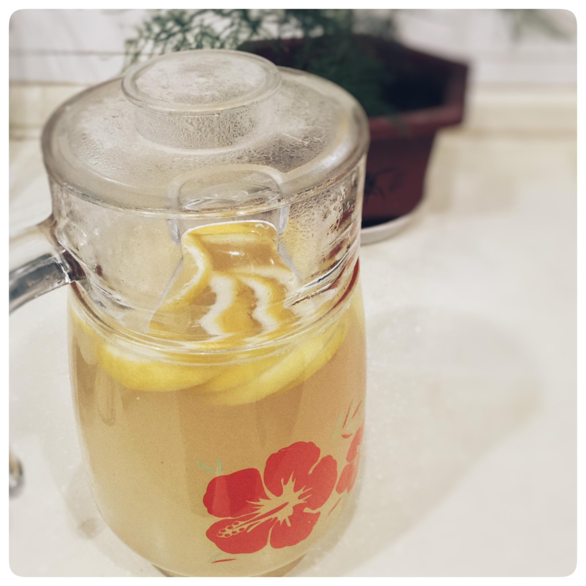 简单柠檬水/Lemonade