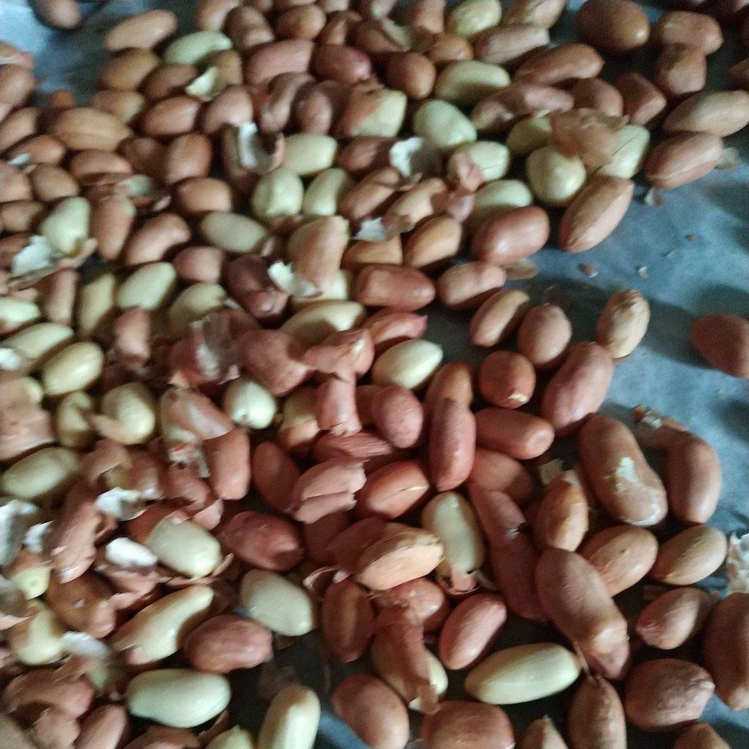 ~  香烤原味花生米 ~