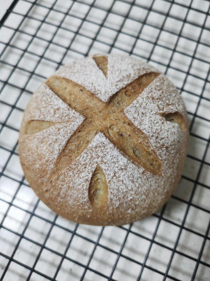 全麦蔓越莓核桃软欧包