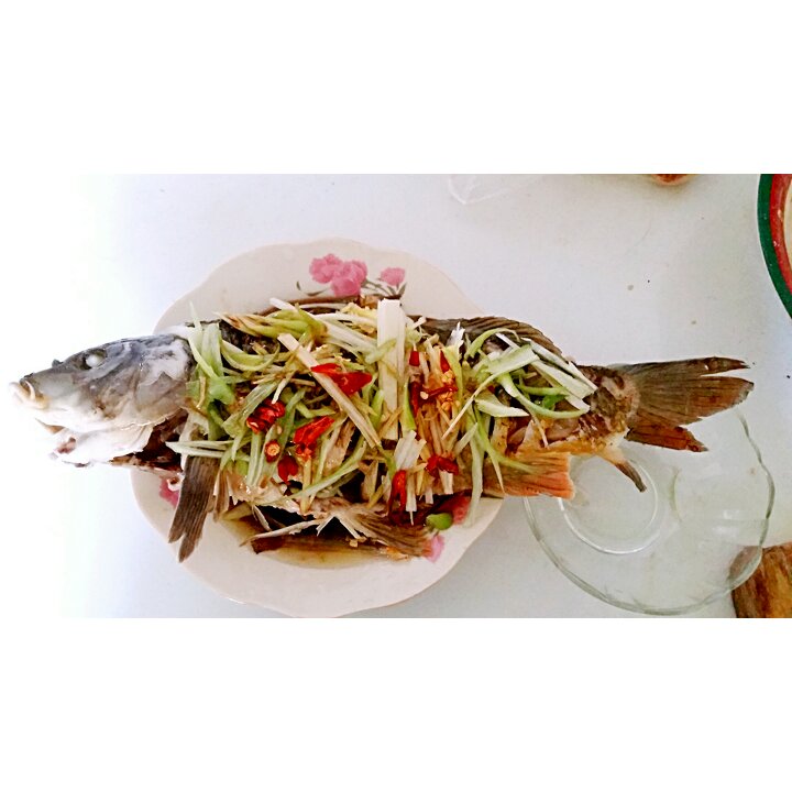 清蒸鲤鱼