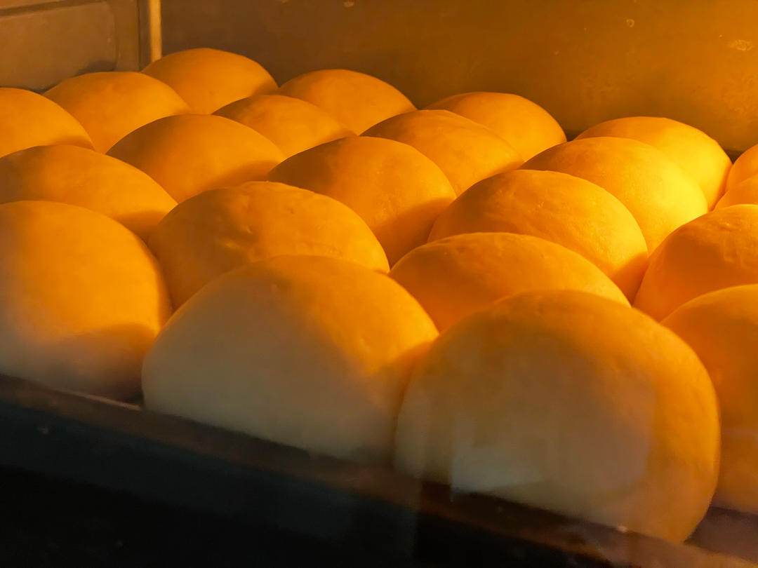 老面包 （普通面粉/中筋面粉+植物油/玉米油/黄油 各种规格版）