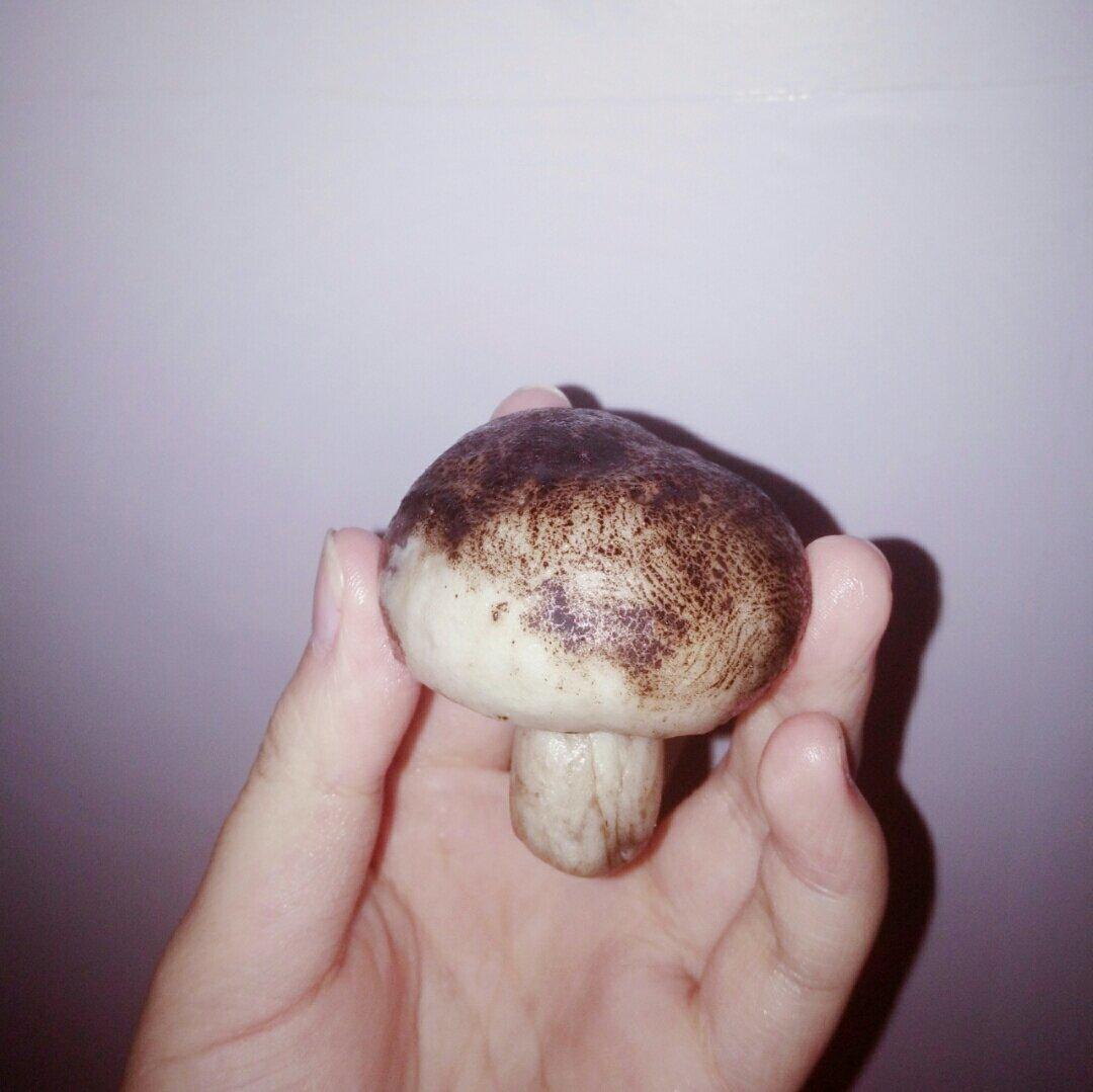 仿真香菇豆沙包