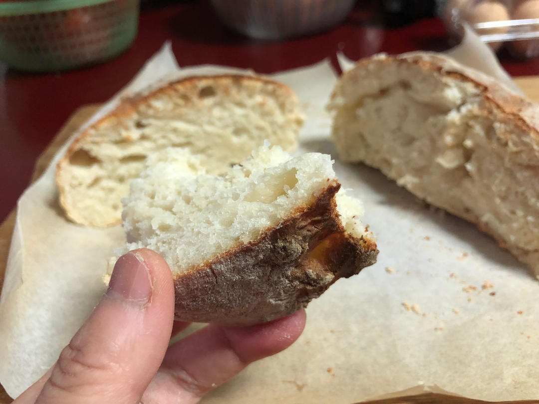 基础欧包 欧式面包 乡村欧包（免揉免出膜）