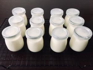 奶粉做酸奶（电炖锅版）的做法 步骤3