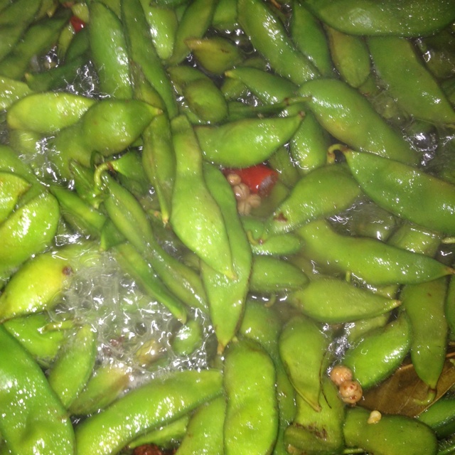 盐水毛豆