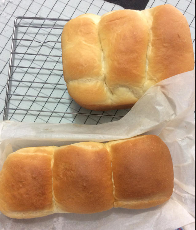 淡奶油吐司--冷藏中种法