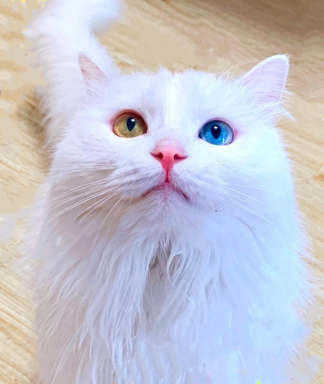 睡觉主义者一林霖