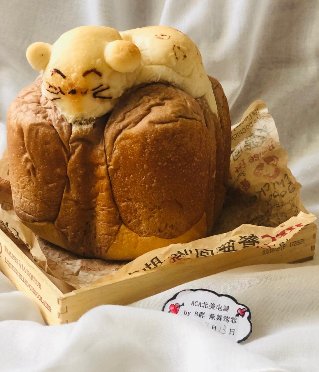 东菱热旋风面包机之懒猫吐司