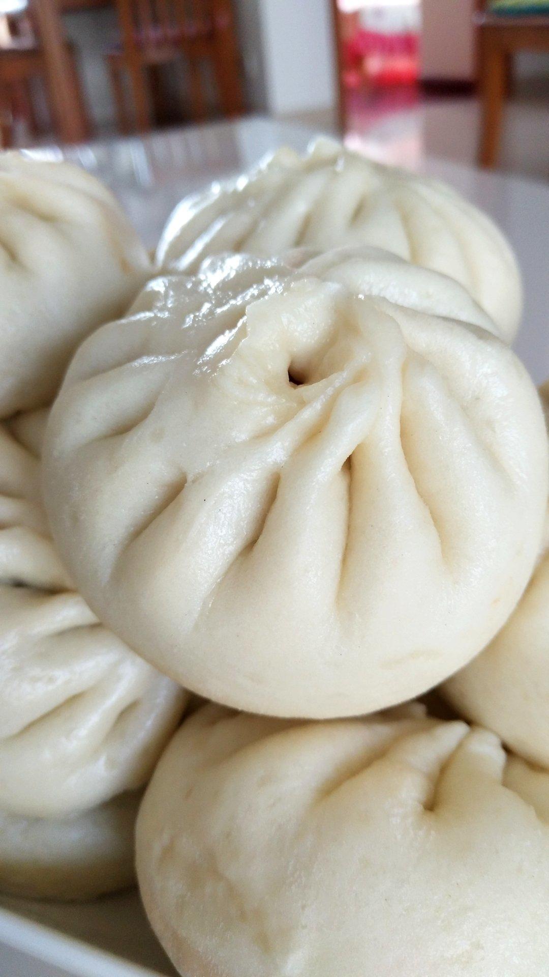 堂妈教你山菜鲜肉大包子