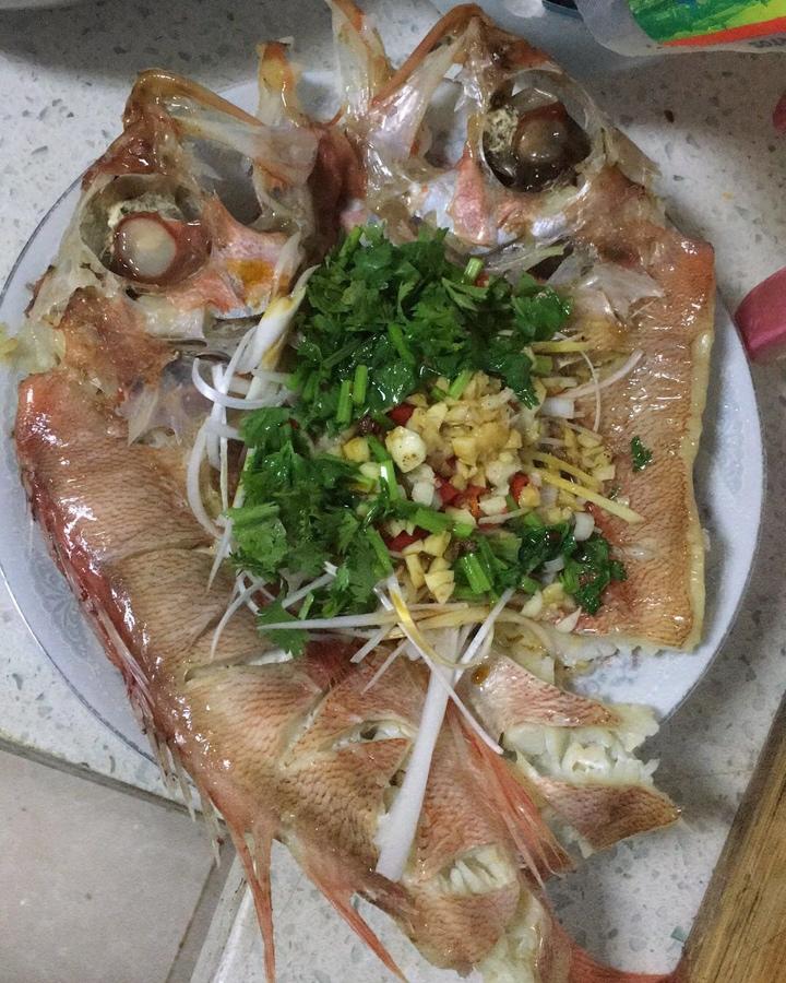 清蒸鱼（鲈鱼/多宝鱼/桂花鱼/石斑鱼……）