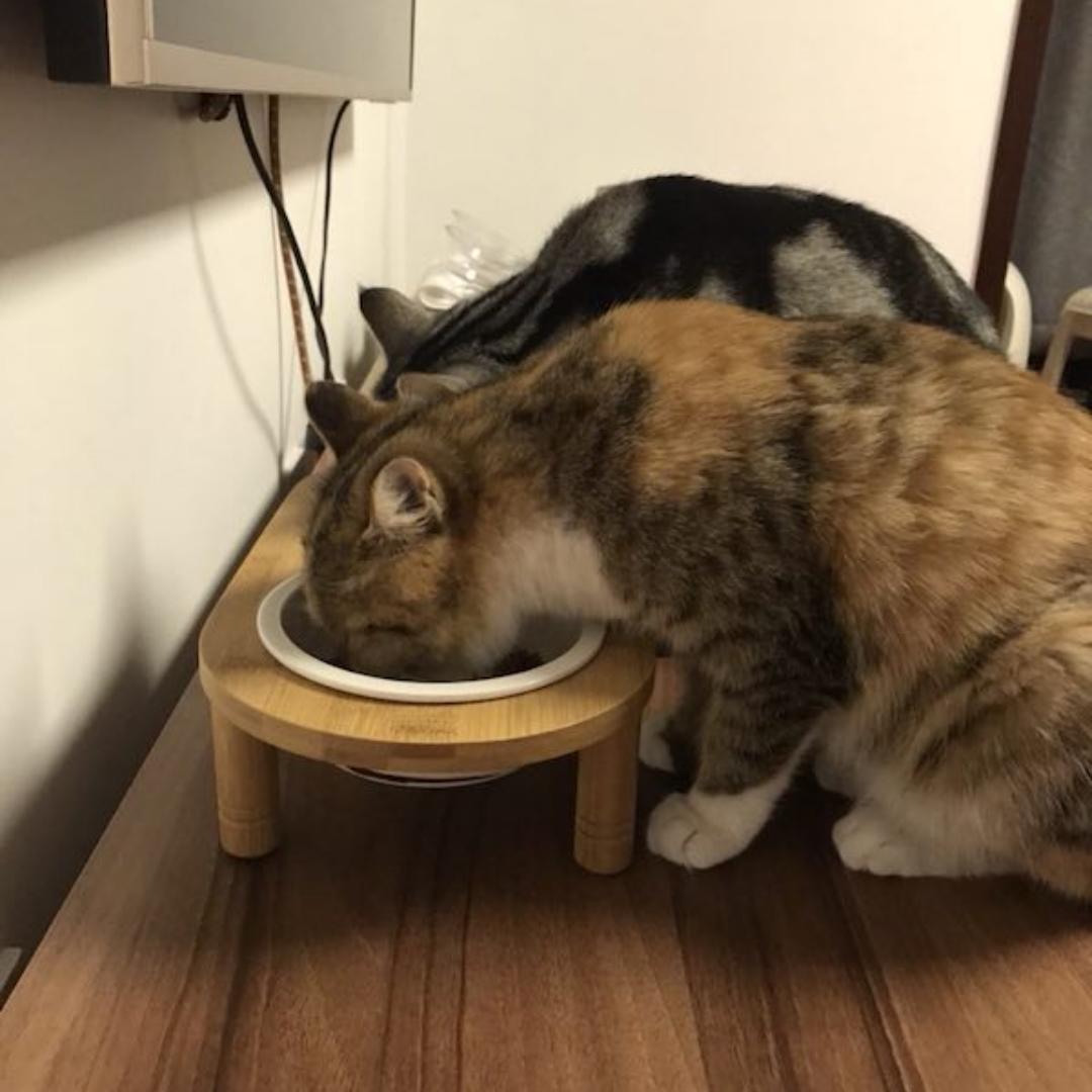 手机用户9803_vh73