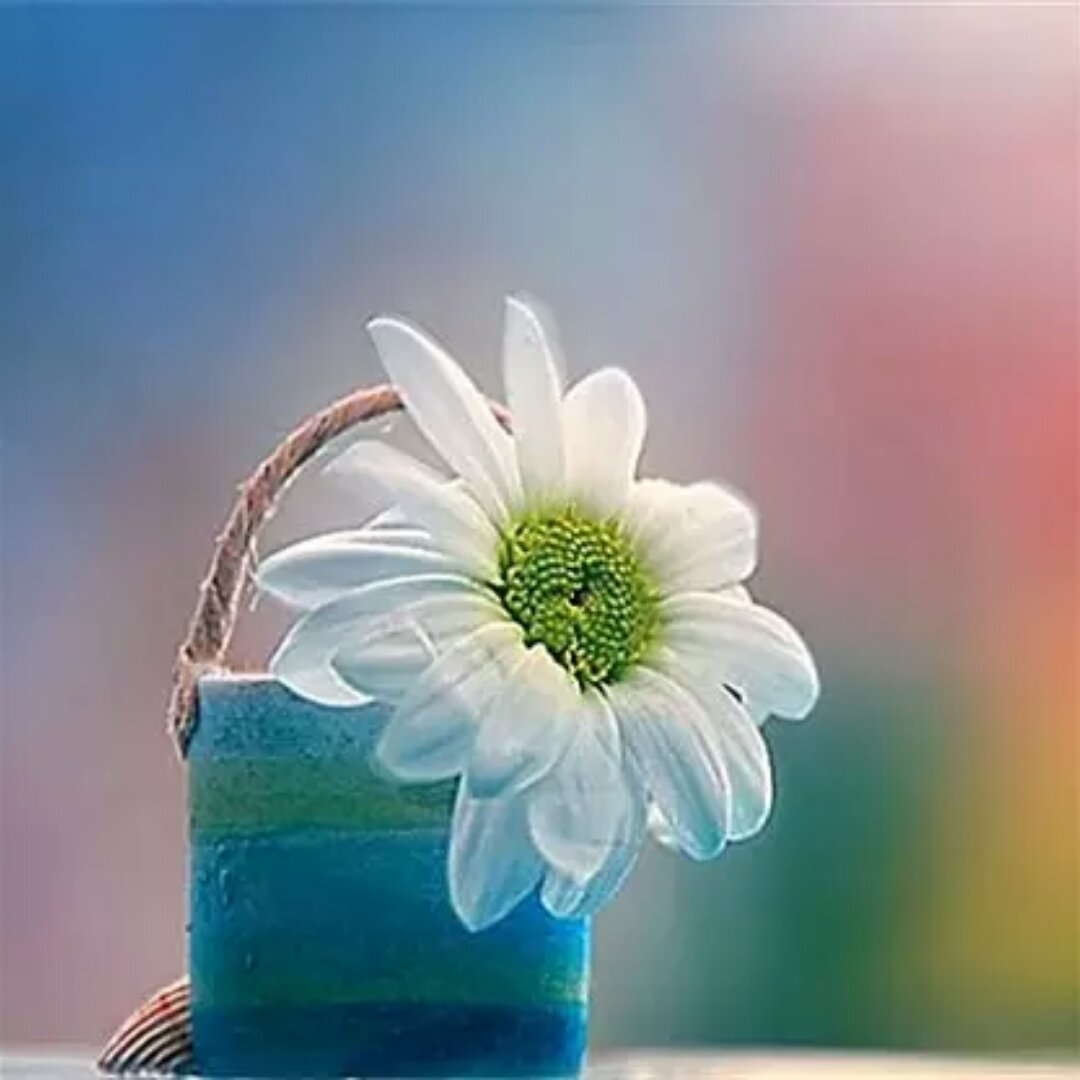 手机用户7349_l52i的厨房