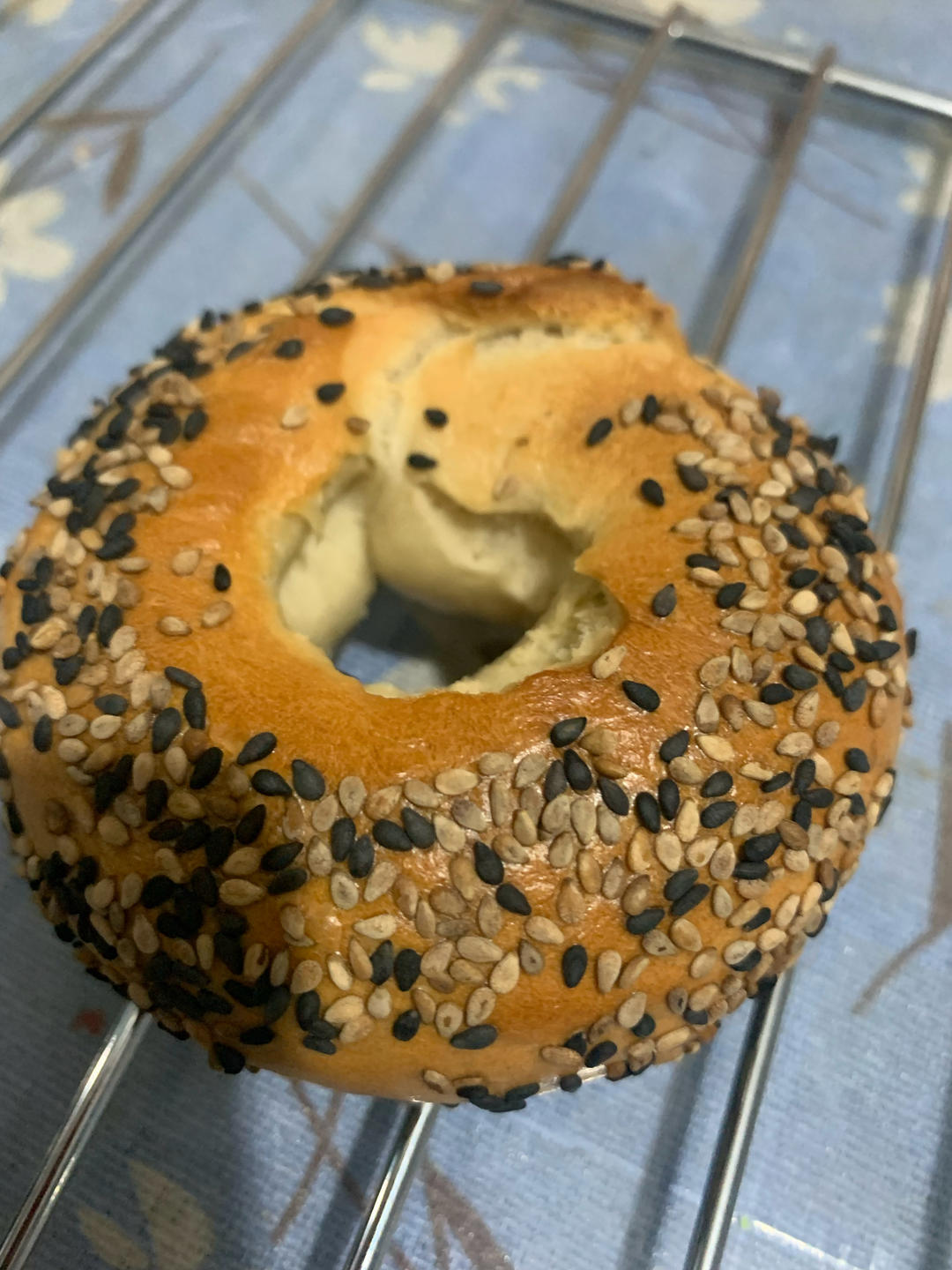 （波兰种）贝果