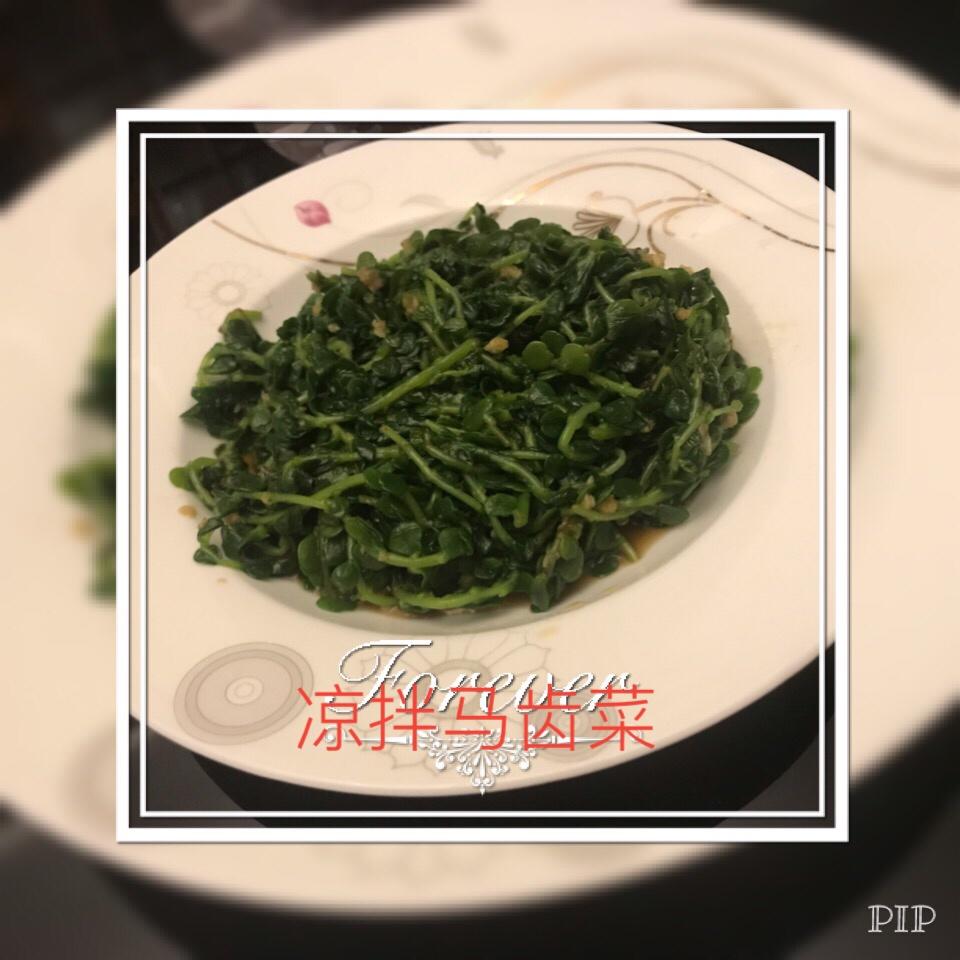凉拌马马菜（凉拌马齿苋）