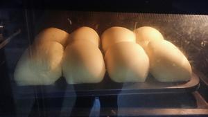 香软蛋奶小面包（液种发酵）的做法 步骤8