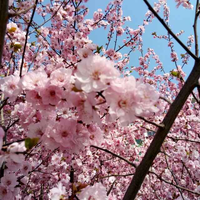 『这一秒幸福』。