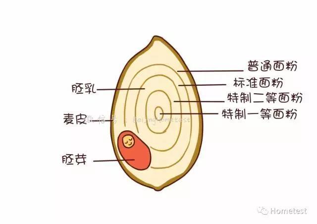 从食品安全和健康角度谈面粉，推荐几款无添加剂，纯绿色食品级的面粉，让你少走弯路少被侵害，真实可靠的面粉信息分享给你。的做法 步骤1