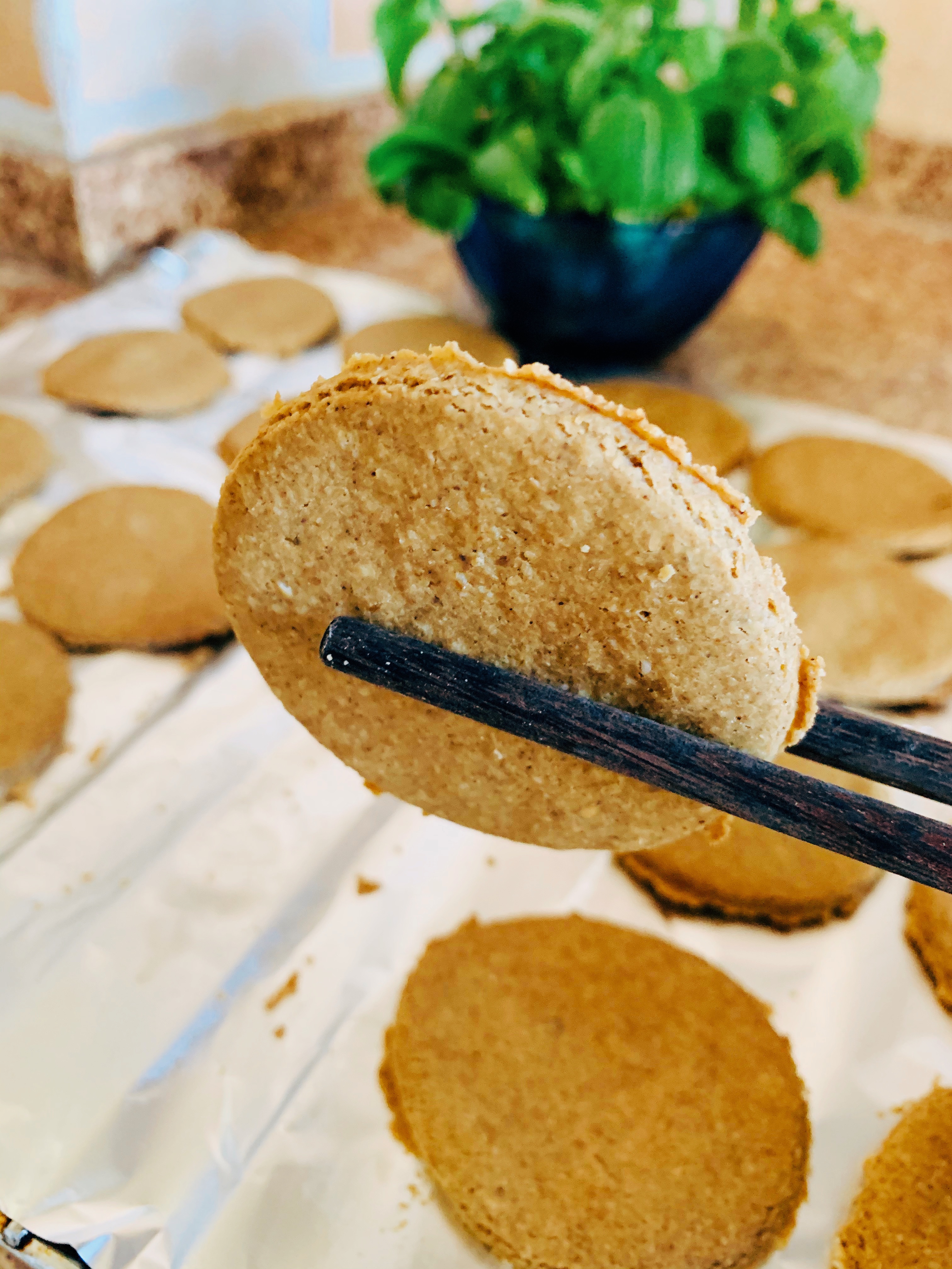 控糖零食—无糖燕麦饼干的做法