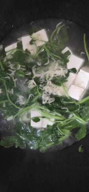 低脂西洋菜豆腐汤的做法 步骤3