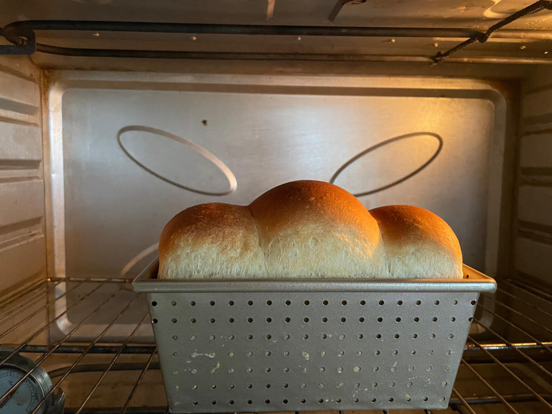 低油糖蘑菇头吐司🍞消耗鲁邦种
