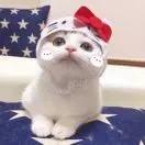 阿晴晴晴晴子