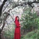 茂茂师傅的小烘培