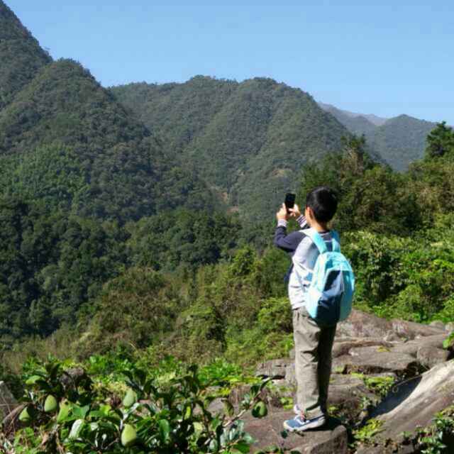 我爱酸菜鱼酸菜鱼