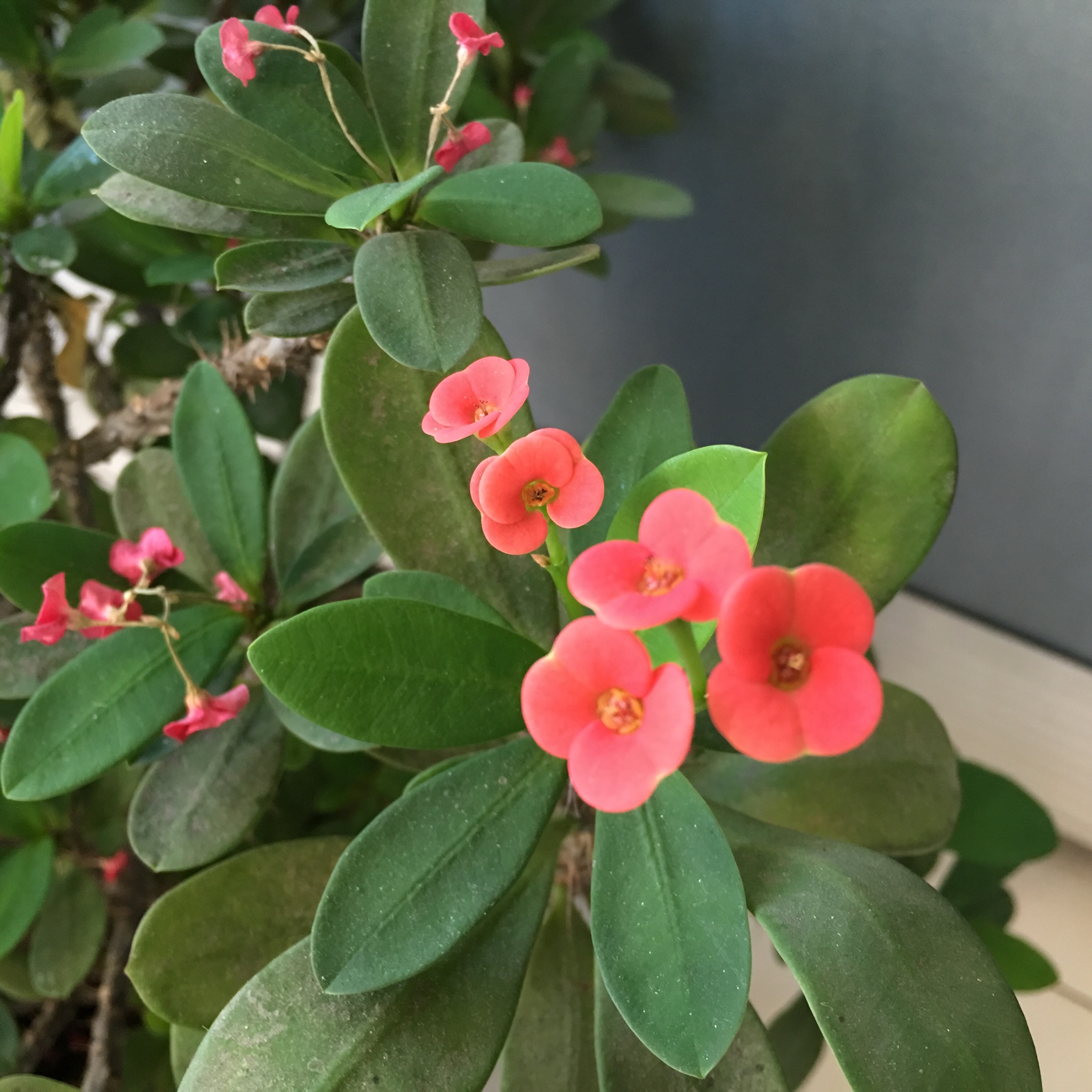 波澜壮阔_爱厨房