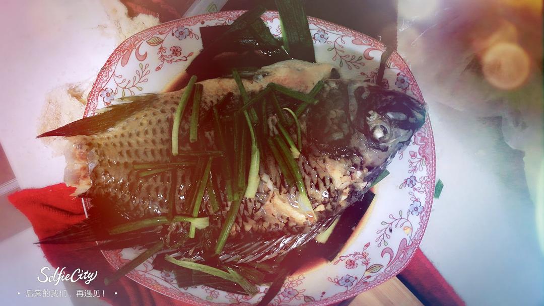 清蒸非洲鲫鱼